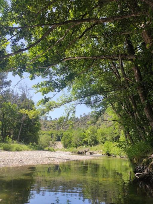Gite Et Jardin En Bord De Riviere Saumane Eksteriør billede