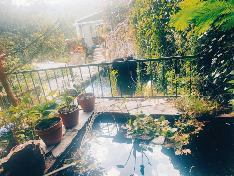 Gite Et Jardin En Bord De Riviere Saumane Eksteriør billede