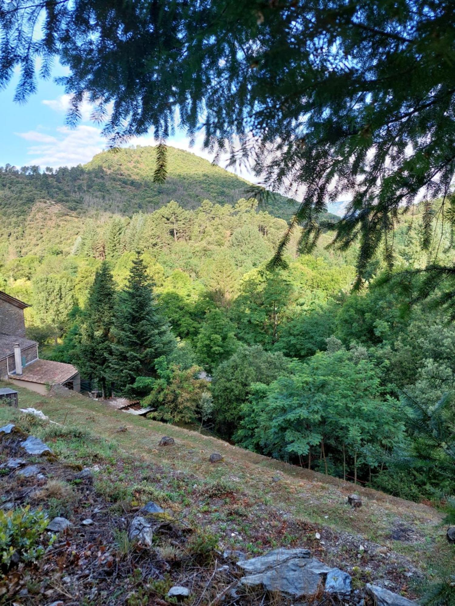 Gite Et Jardin En Bord De Riviere Saumane Eksteriør billede